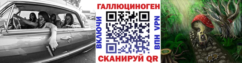 Псилоцибиновые грибы Psilocybe  нарко площадка формула  Новоалександровск  купить наркоту 