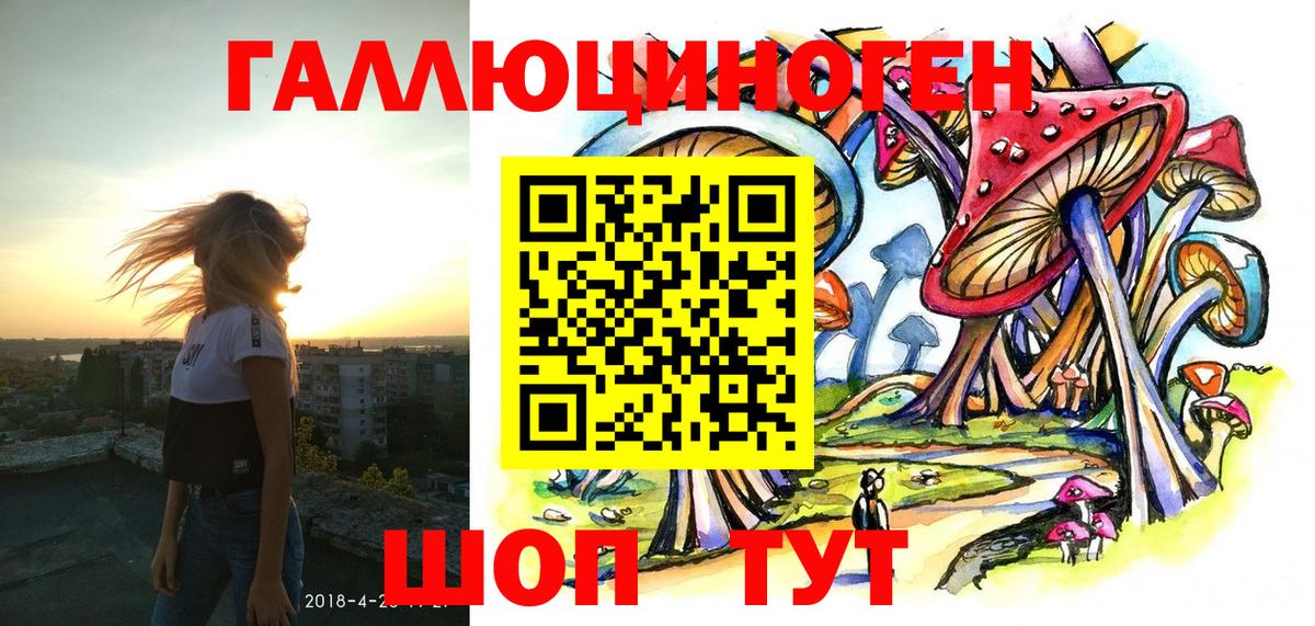 Псилоцибиновые грибы Cubensis Новоалександровск