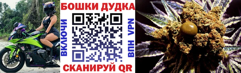 сайты даркнета как зайти  Новоалександровск  Конопля гибрид 